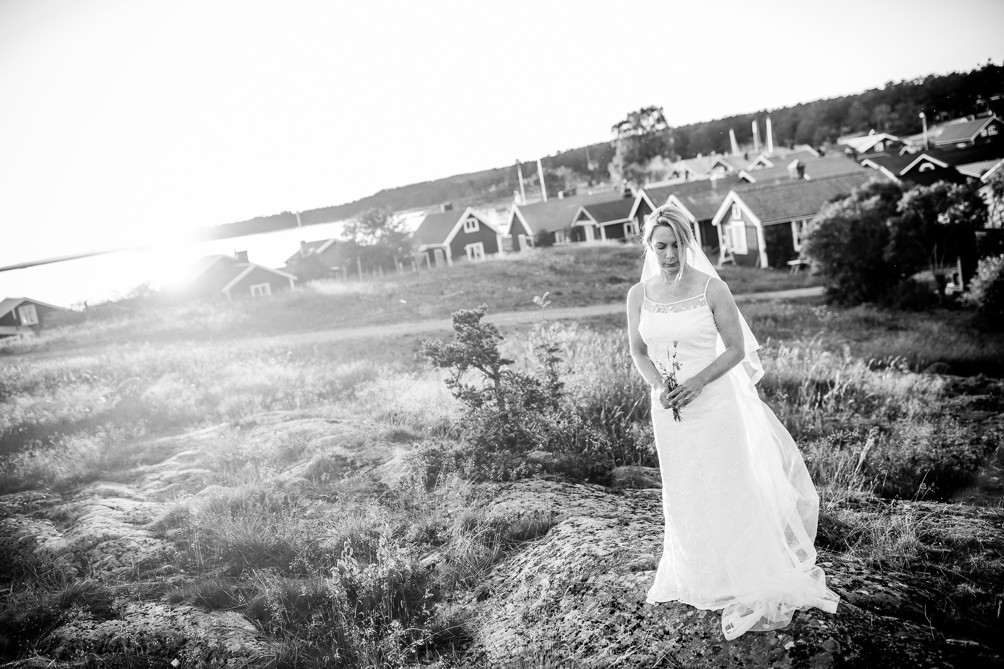 Export x3 5D4 8664 Ferien 2017 Schweden